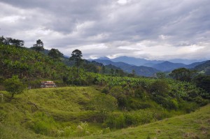 Jardin Colombia Coffee Landscape