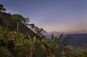 Coffee Farm in Antioquia Colombia